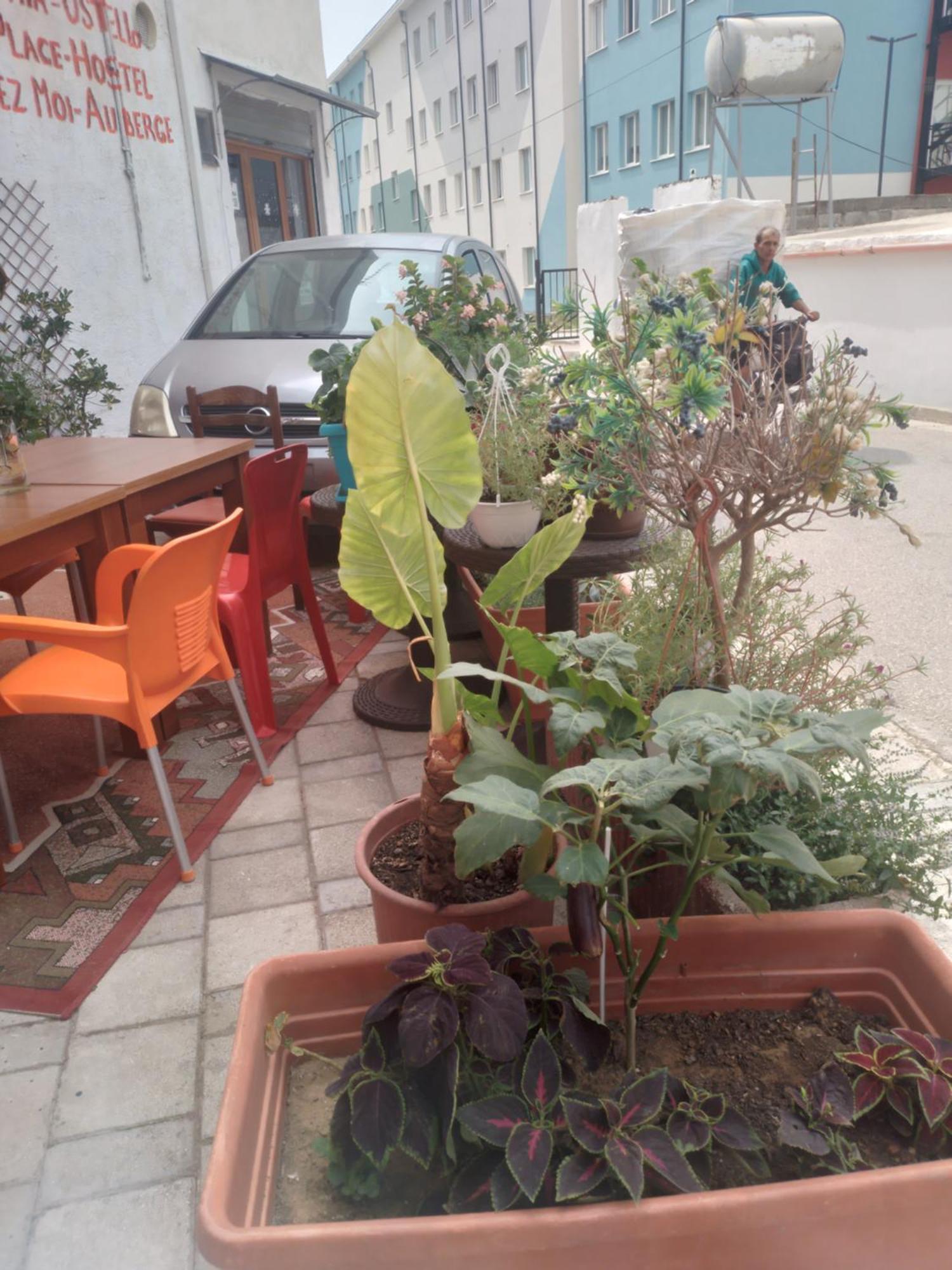 Casa Mia Vandrehjem Vlorë Eksteriør billede