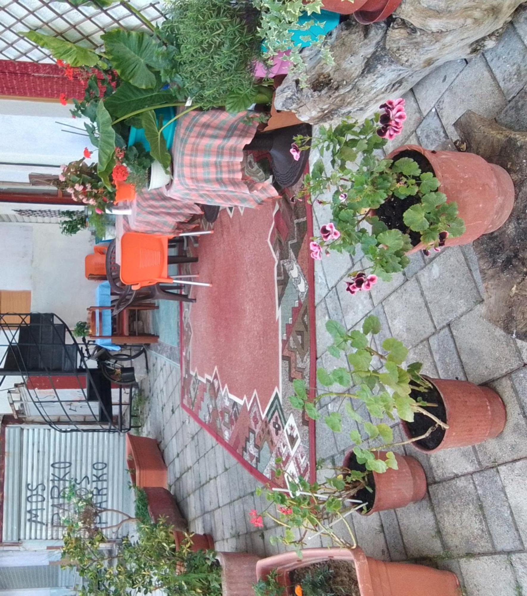 Casa Mia Vandrehjem Vlorë Eksteriør billede